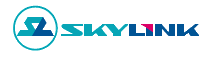 Отправка SMS для абонентов компании SkyLink
